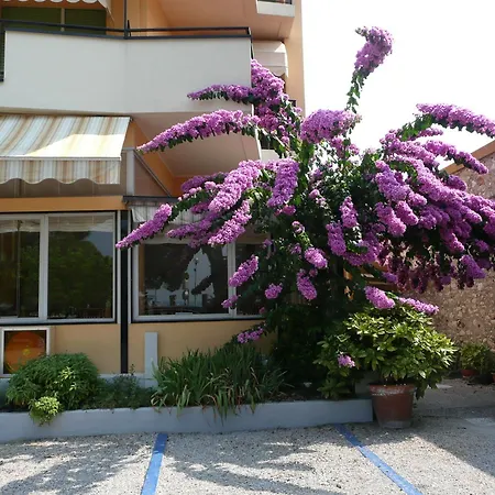 Splendid Hotel